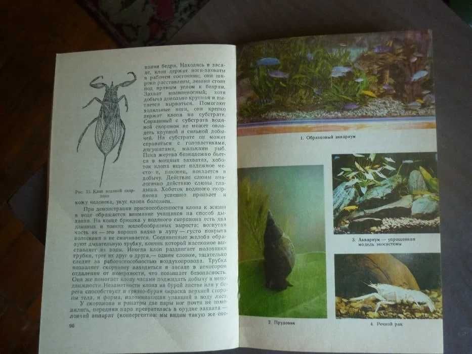 Набор Советских открыток..Книга  "Аквариум в школе " изд. Москва. СССР