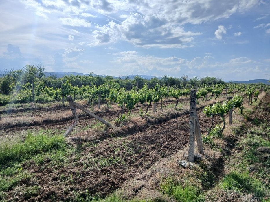 Продава се Земеделски имот в с. Карабунар, Област Пазарджик -  кв.м за 2 €/дка - Снимка #9