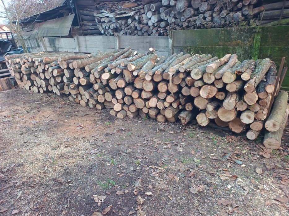 Lemn uscat de vânzare