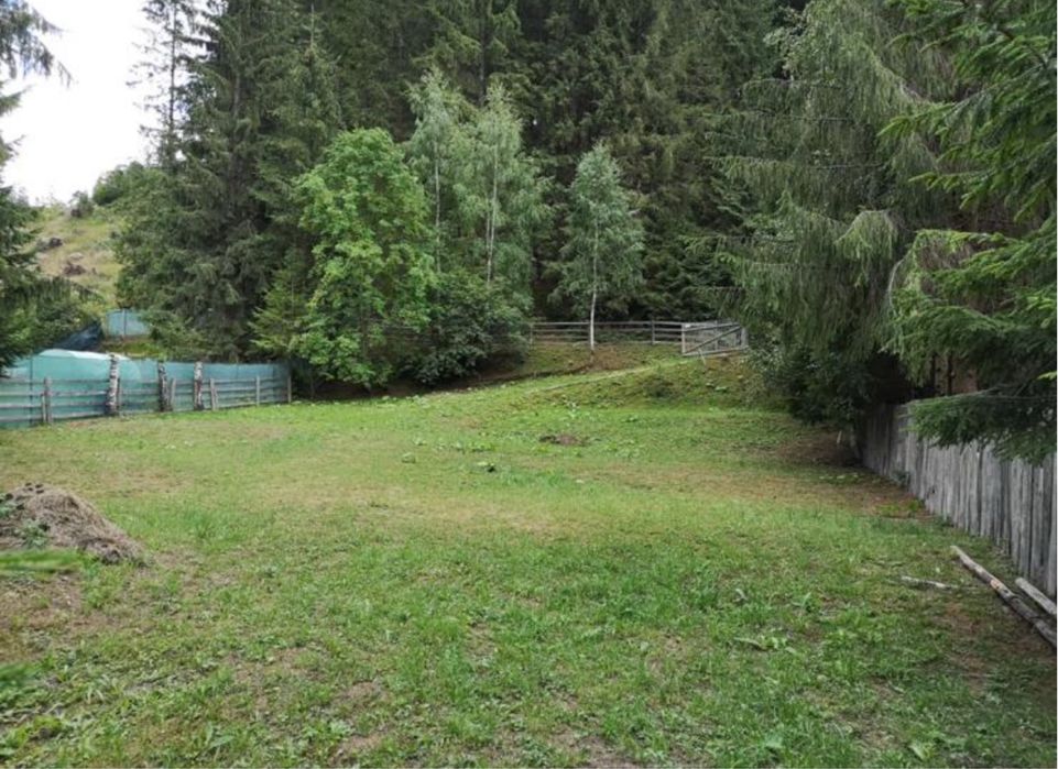 Teren cu cabana off-grid jud Harghita