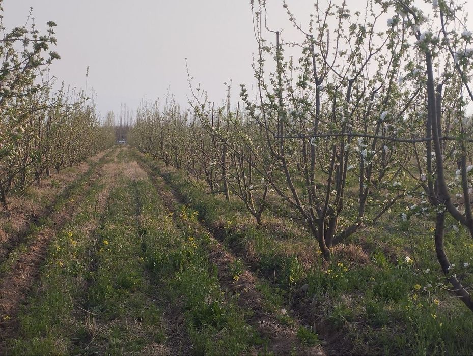Бог ижарага берилади