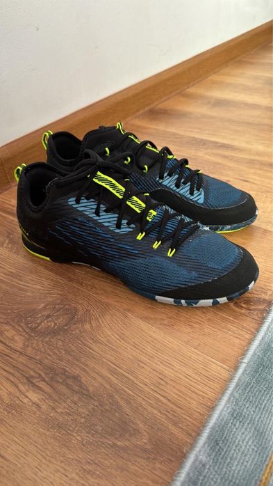 Сороконожки новые