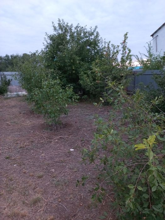 Частный дом и спортзал