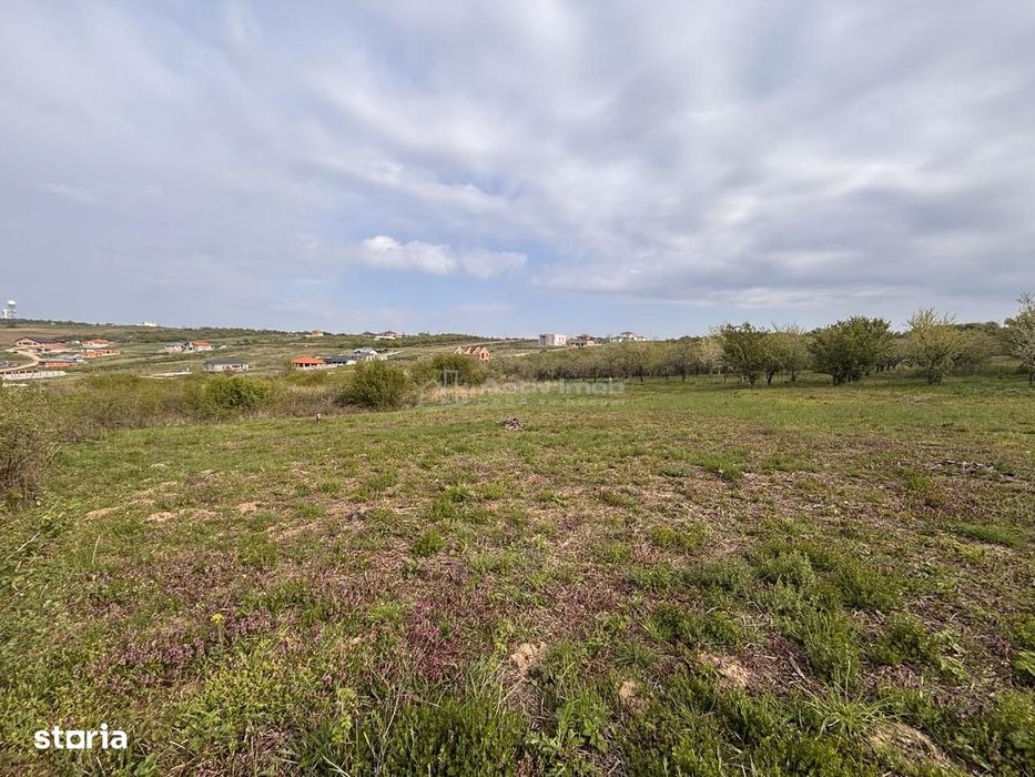 Teren pe colt in Paleu – 800 mp ideali pentru casa ta intr-o zona lini