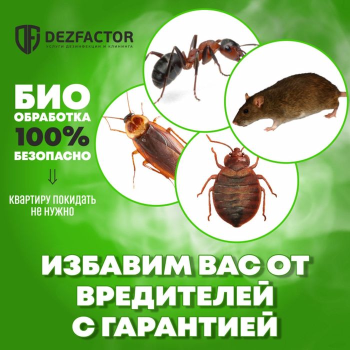 Дезинфекция Дезинсекция Дератизация - Дезинфекция помещений Караганда ...