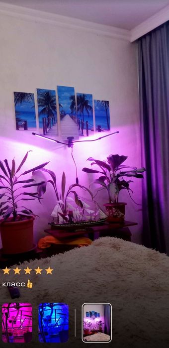 Фитолампа для улучшения роста растений fitolampa