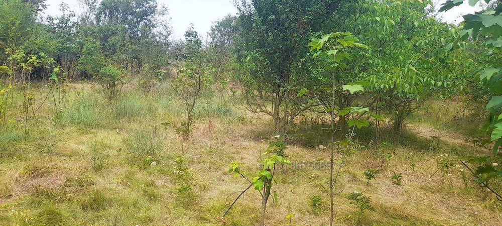 Продава се Парцел в с. Пчеларово, Област Добрич - 90 кв.м за 67 €/кв.м - Снимка #7