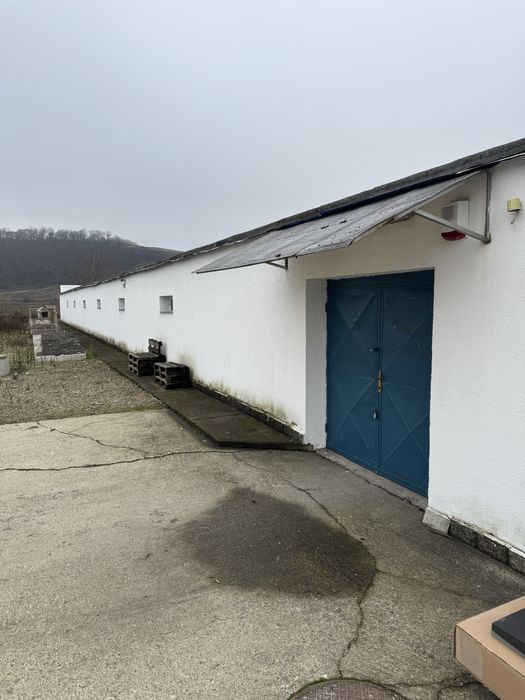 Inchiriez hala 600mp Suceava, la iesire spre Mitocul Dragomirnei