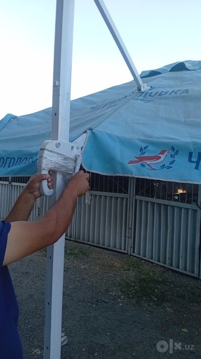 Зонтик каттасидан 3 та бор