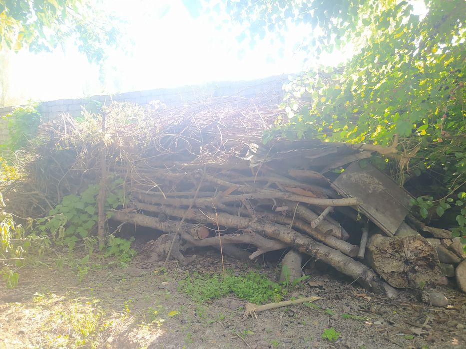 Утин сотилади! Otin bor sotiladi