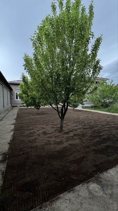 Газон екамиз полив микроклимат