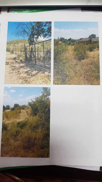 Продава се дворно място 1 648 дка в с. Оряховица