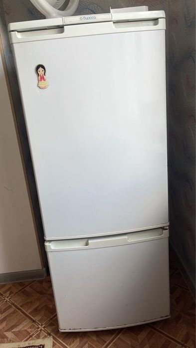 холодильник бирюса