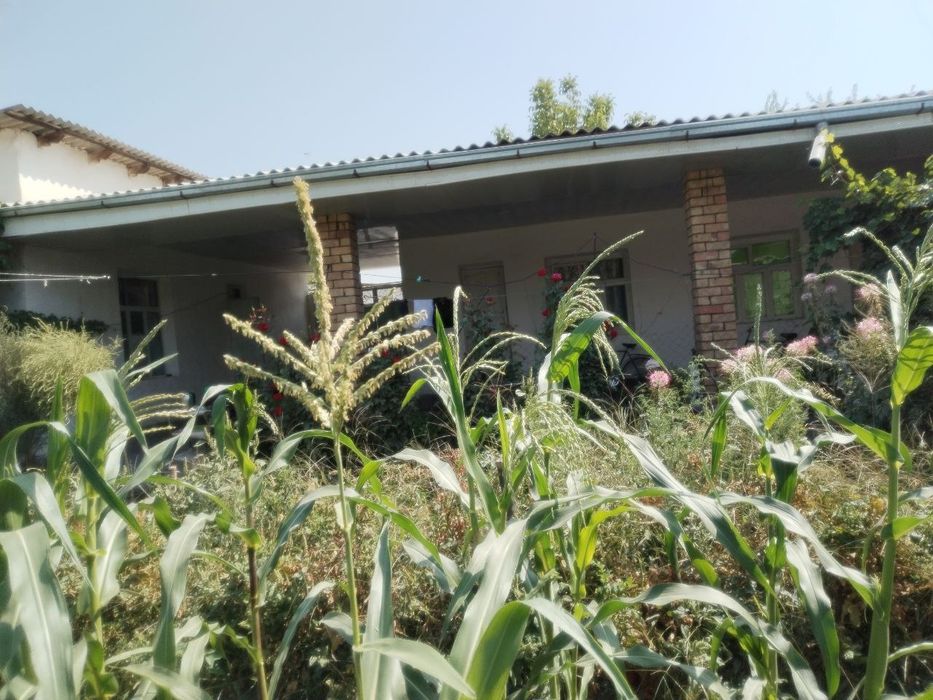 Uchastka sotiladi uyimizi xamma sharoitlari bor