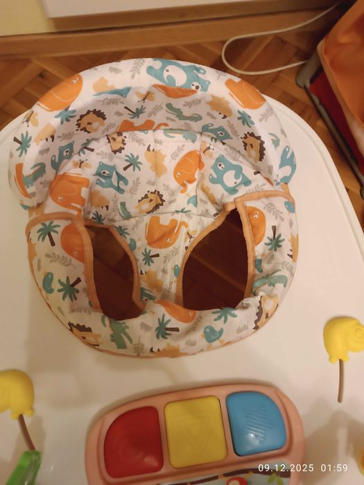 Проходилка (паяк)