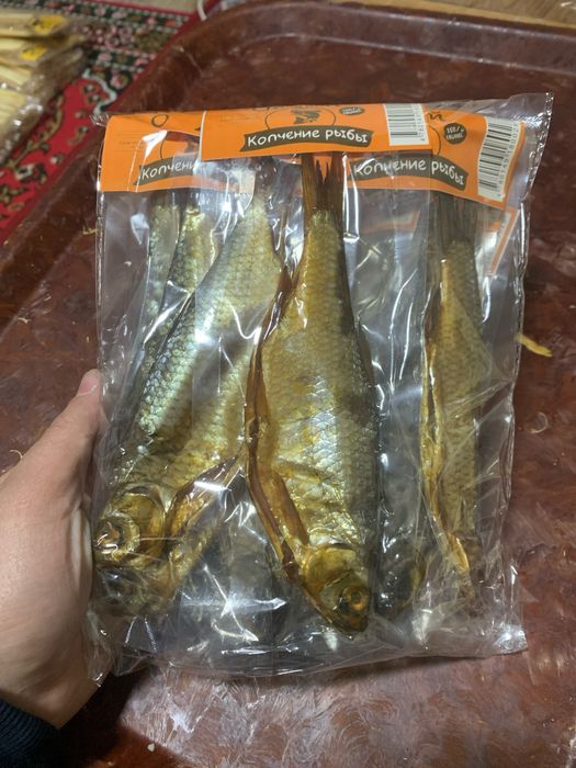 Kapchoniy balig’lar