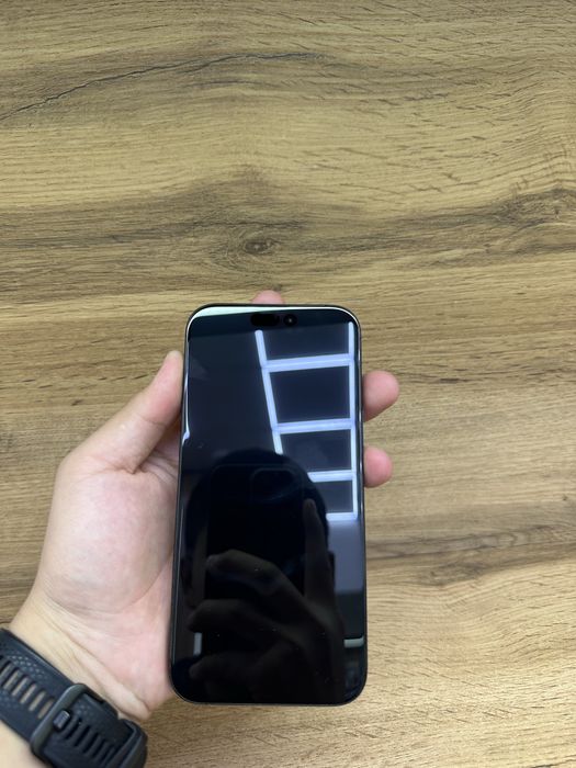 16 про мах 256 идеал