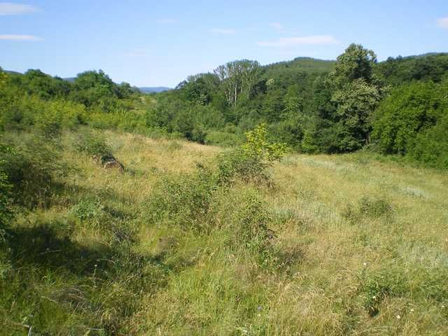 Продава се Парцел в Стара Загора, Аязмото - 6702 кв.м за 5 €/кв.м - Снимка #2