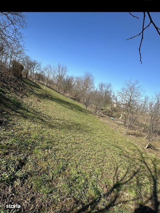 Teren Intravilan in Ambud