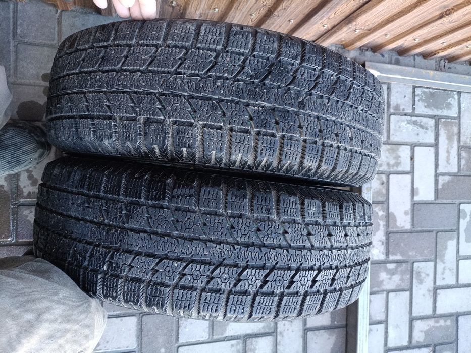 Пара шин (2 баллона)