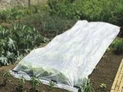 Промоция на Агрил от  17g/m² до 23g/m² ГОЛЕМИ РАЗМЕРИ