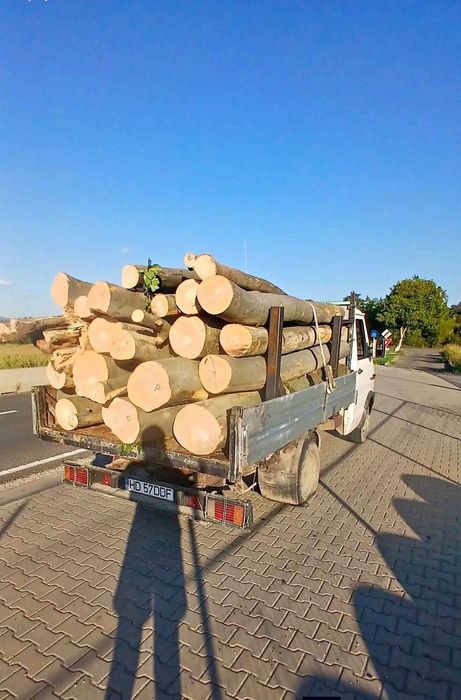 Lemn foc cele mai bune preturi!