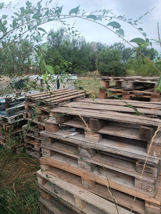 Патдон сатылады СРОЧНО