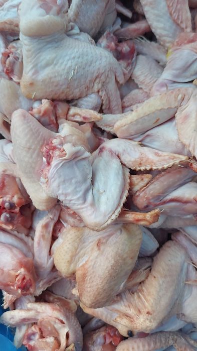 Куриные крылышки и косточки