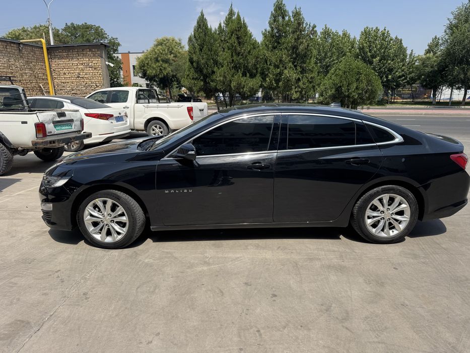 Malibu 2 PREMIER