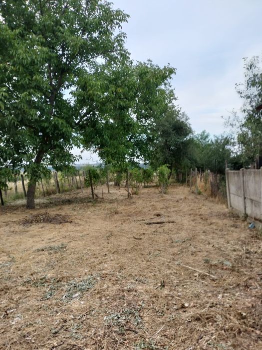 Vand casa 4 camere