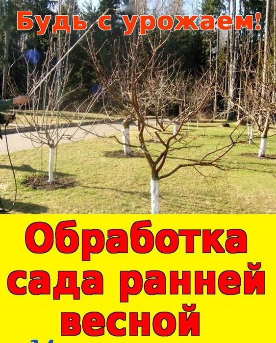 Услуги для вашего участка