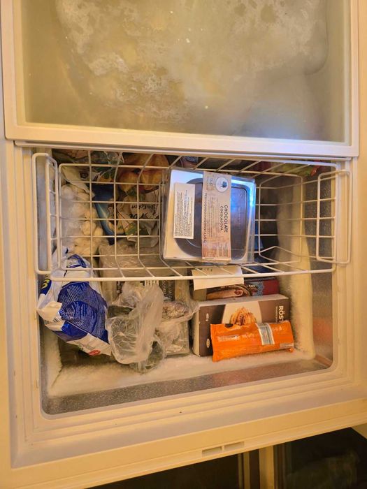 Фризер Crown CHF260 E