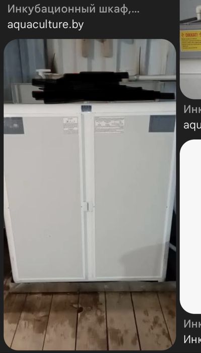 Инкубатор для форели