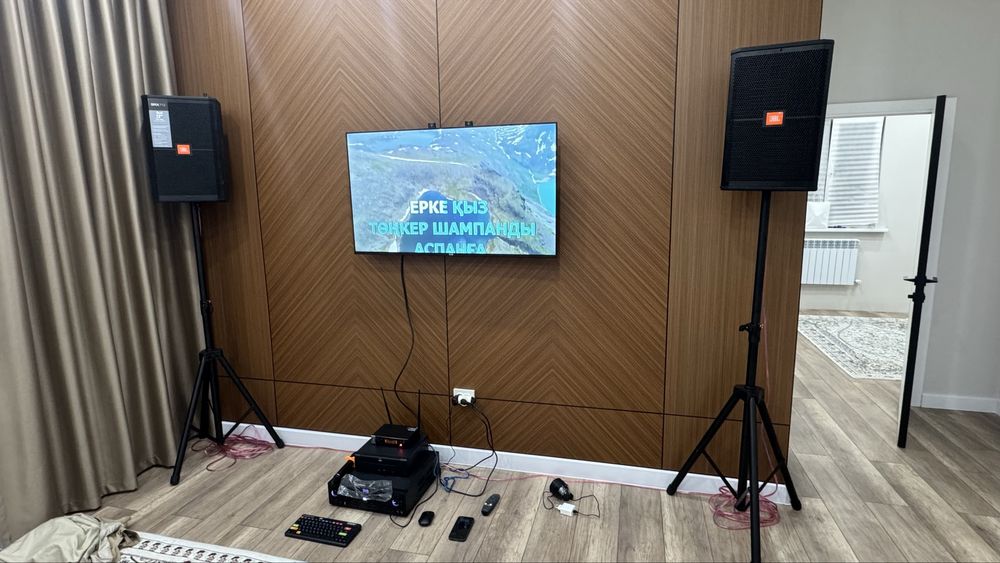 Аренда профессионалный караоке на выезд
