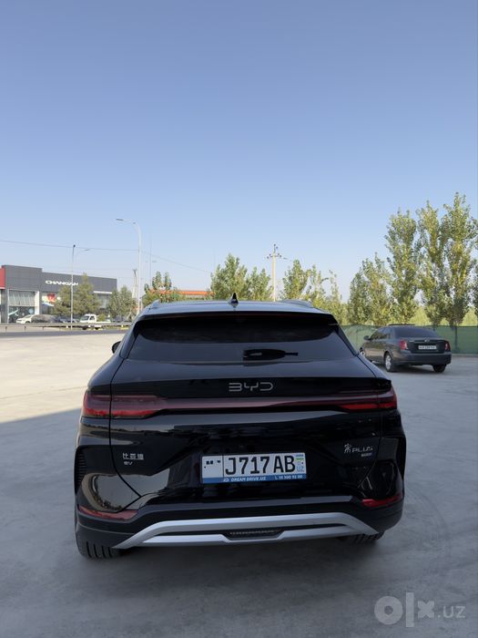 Byd champion smart