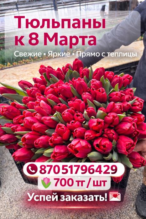 Тюльпаны на 8 марта