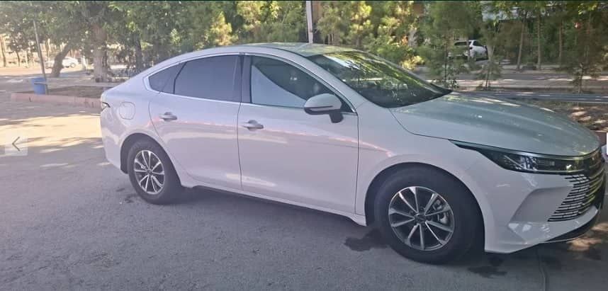 Byd Chazor sotiladi