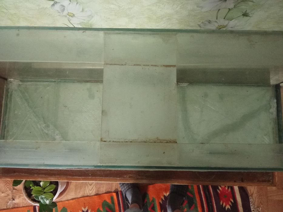 Аквариум аквариум