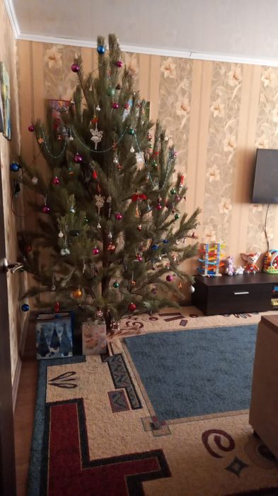 Продам 2 комнатную на Емшане