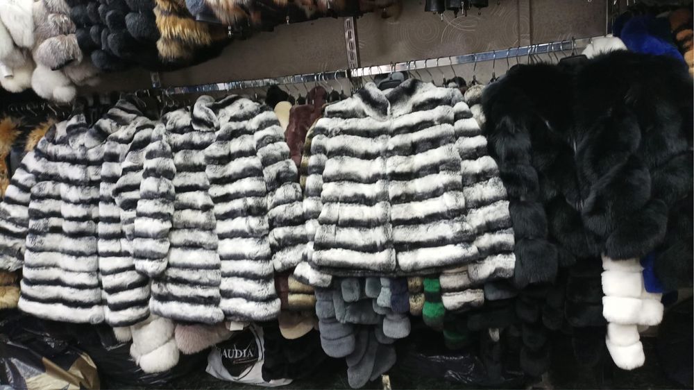 Vand blana din Chinchilla rex la 1200 lei