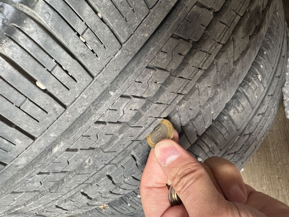 Шины Dunlop 225/55/R19