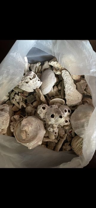 Аквариум готовый большой