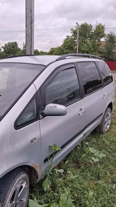 Продам Сият альхабра