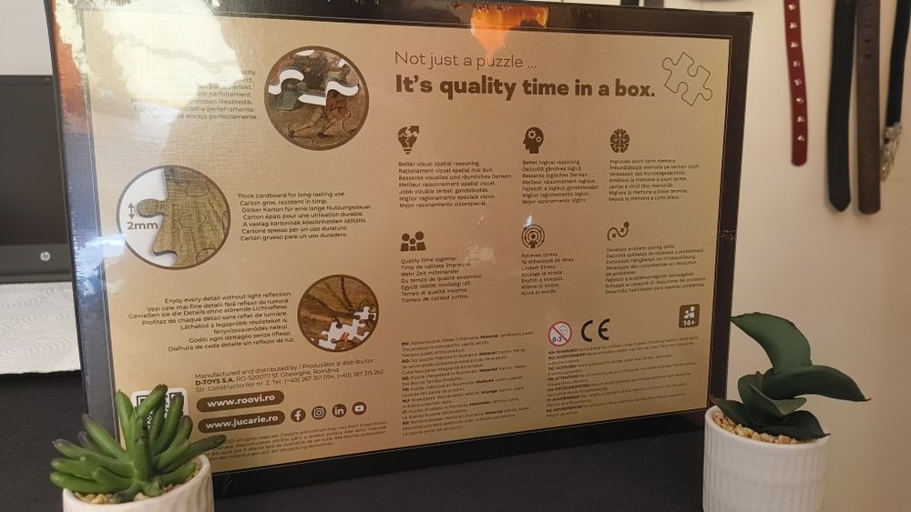 Puzzle Cascada Bigar