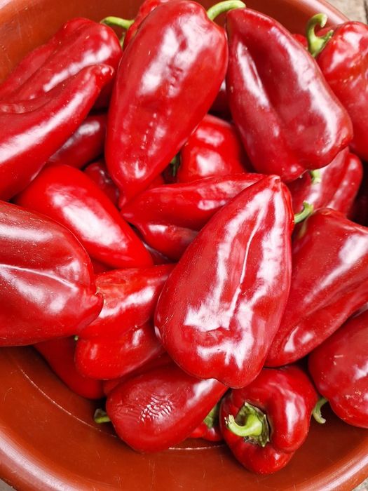 Продавам качествен разсад
