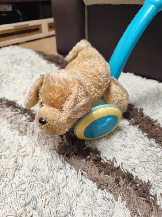 Собака - каталка