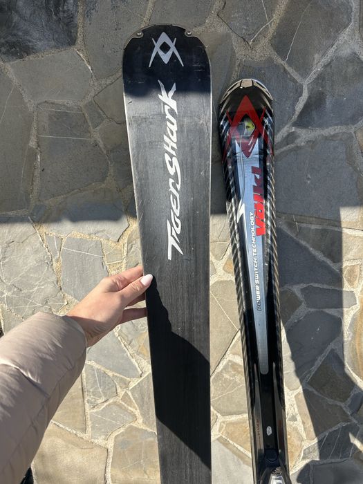 Schiuri Volkl TigerShark