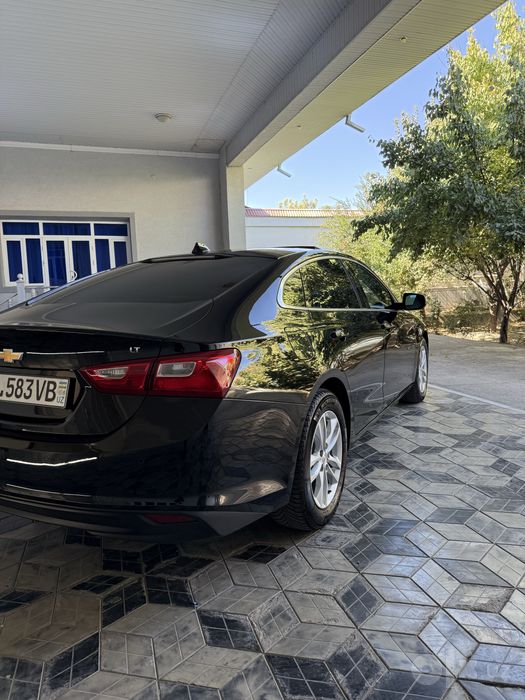 Malibu 2 xolati ideal