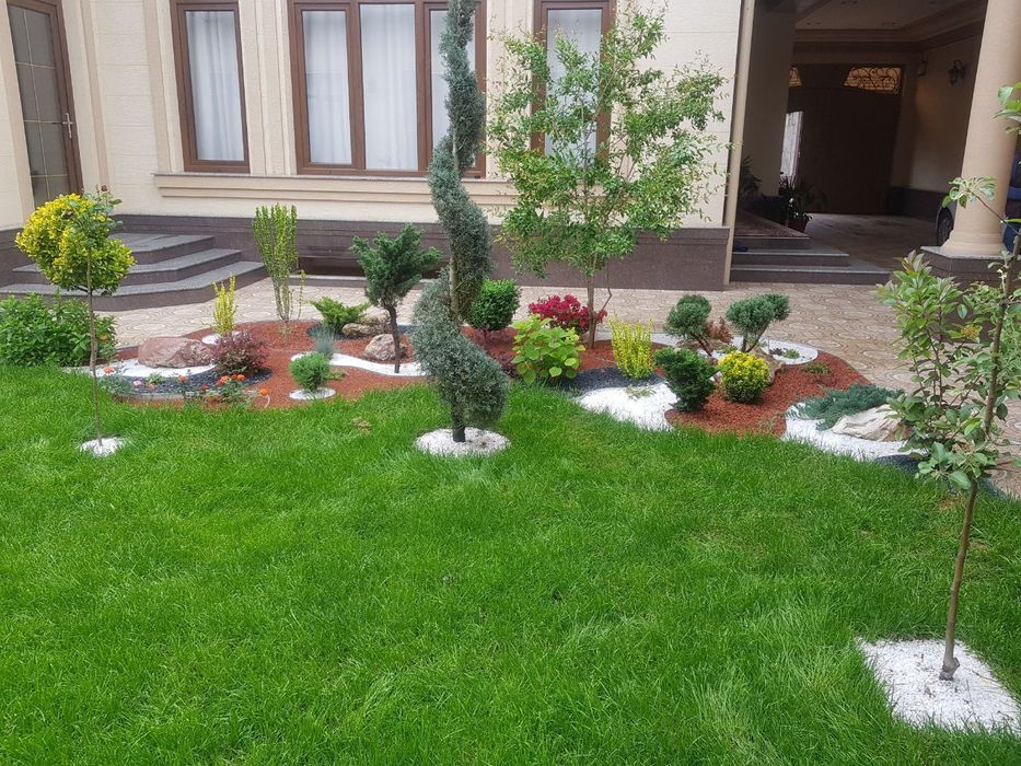 Качественные услуги для вас 
Газон 
Деревня 
Светочка
Ландшафтный диза