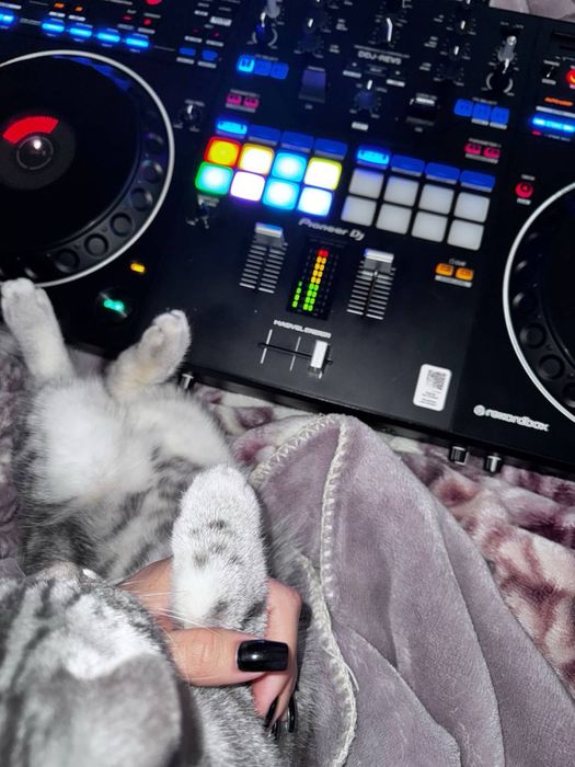 Диджейский пульт pioneer ddj rev 5